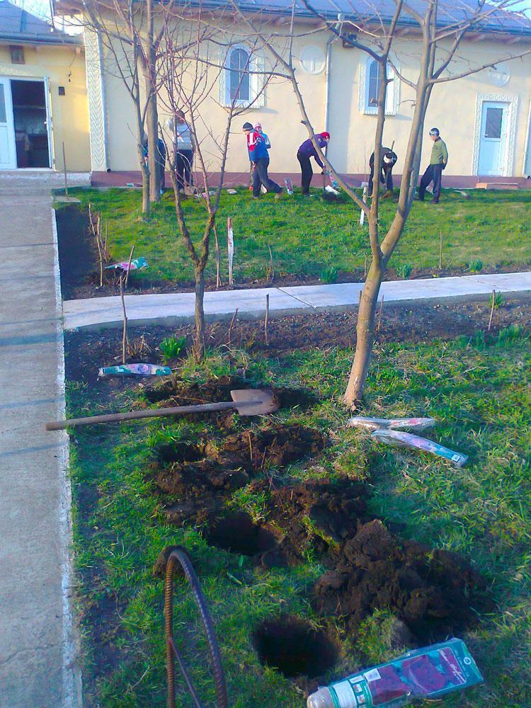 Un copil, un trandafir